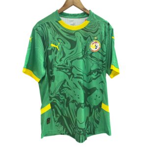 Maillot Sénégal 2024-2025 original pour homme et femme
