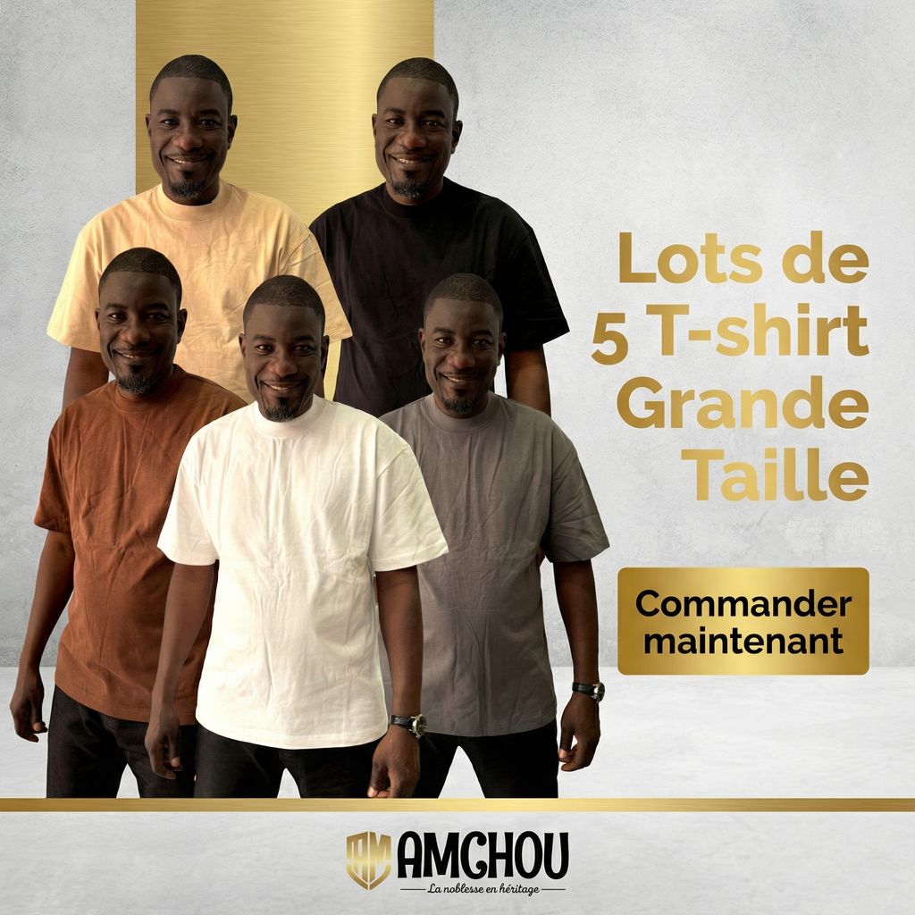 Lot de 5 T-shirts 35 000 F