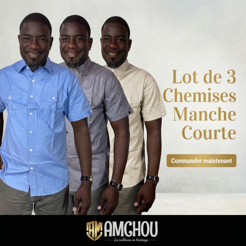 Lot de 3 chemises kaki homme – Élégance naturelle, prix malin.
